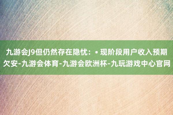 九游会J9但仍然存在隐忧：• 现阶段用户收入预期欠安-九游会体育-九游会欧洲杯-九玩游戏中心官网