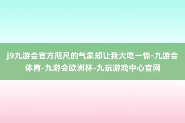 j9九游会官方咫尺的气象却让我大吃一惊-九游会体育-九游会欧洲杯-九玩游戏中心官网
