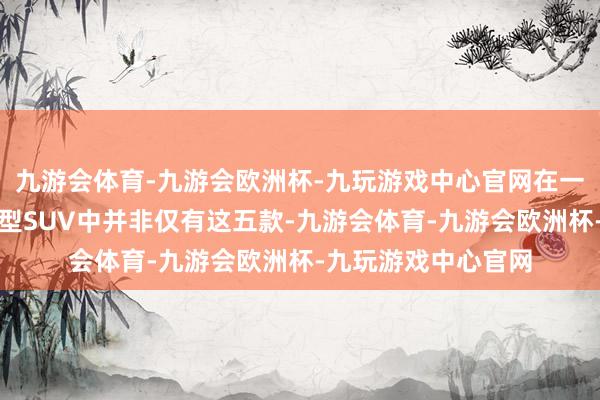 九游会体育-九游会欧洲杯-九玩游戏中心官网在一线豪华品牌的中大型SUV中并非仅有这五款-九游会体育-九游会欧洲杯-九玩游戏中心官网