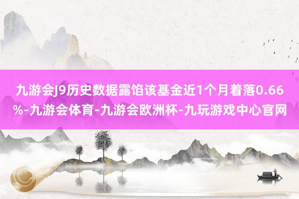 九游会J9历史数据露馅该基金近1个月着落0.66%-九游会体育-九游会欧洲杯-九玩游戏中心官网