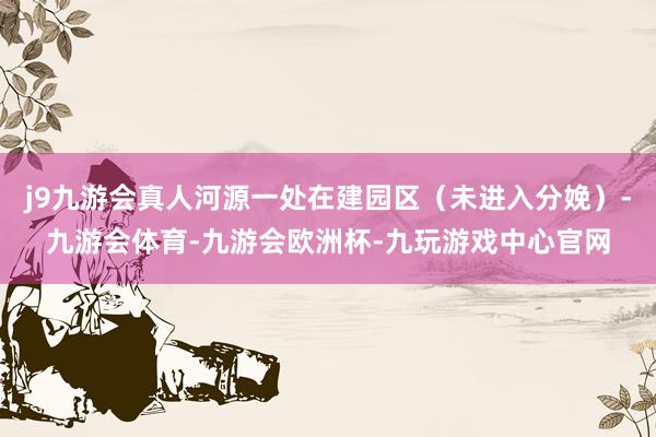 j9九游会真人河源一处在建园区（未进入分娩）-九游会体育-九游会欧洲杯-九玩游戏中心官网