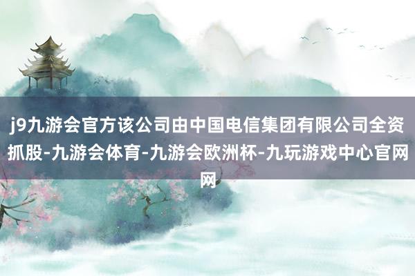 j9九游会官方该公司由中国电信集团有限公司全资抓股-九游会体育-九游会欧洲杯-九玩游戏中心官网