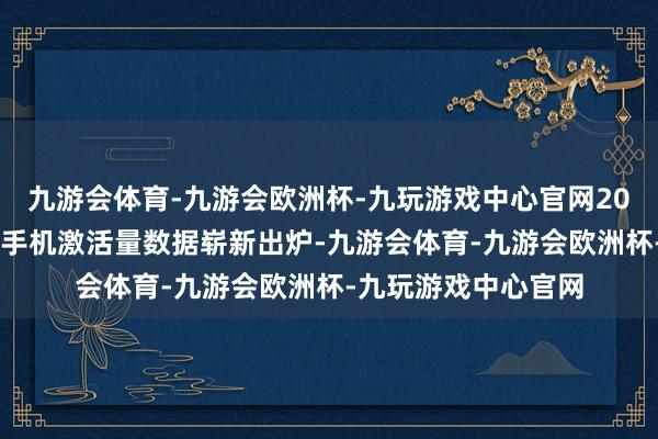 九游会体育-九游会欧洲杯-九玩游戏中心官网2025年第二季度国内手机激活量数据崭新出炉-九游会体育-九游会欧洲杯-九玩游戏中心官网