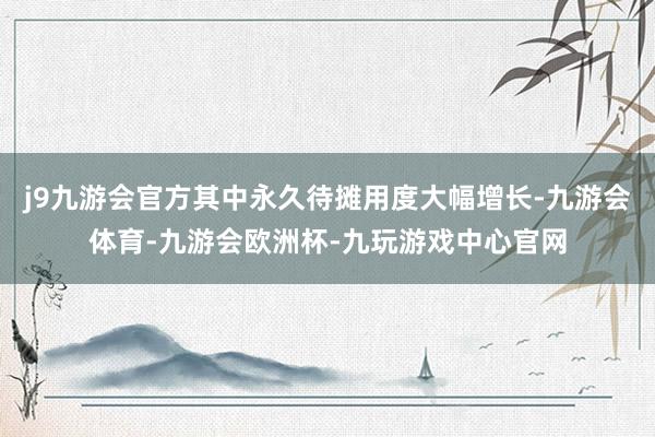 j9九游会官方其中永久待摊用度大幅增长-九游会体育-九游会欧洲杯-九玩游戏中心官网