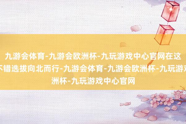 九游会体育-九游会欧洲杯-九玩游戏中心官网在这个冬天你不错选拔向北而行-九游会体育-九游会欧洲杯-九玩游戏中心官网