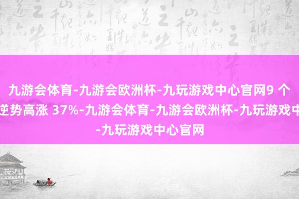 九游会体育-九游会欧洲杯-九玩游戏中心官网9 个交昔日逆势高涨 37%-九游会体育-九游会欧洲杯-九玩游戏中心官网