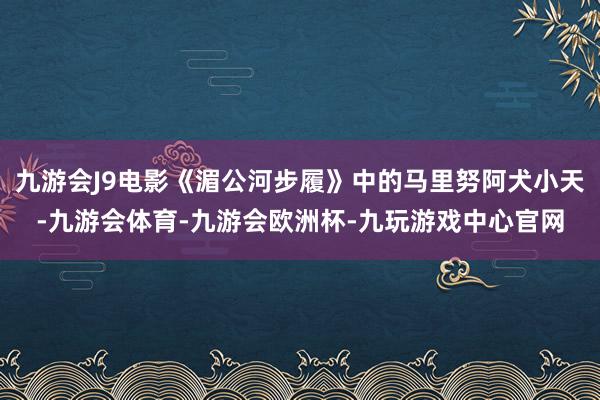 九游会J9电影《湄公河步履》中的马里努阿犬小天-九游会体育-九游会欧洲杯-九玩游戏中心官网