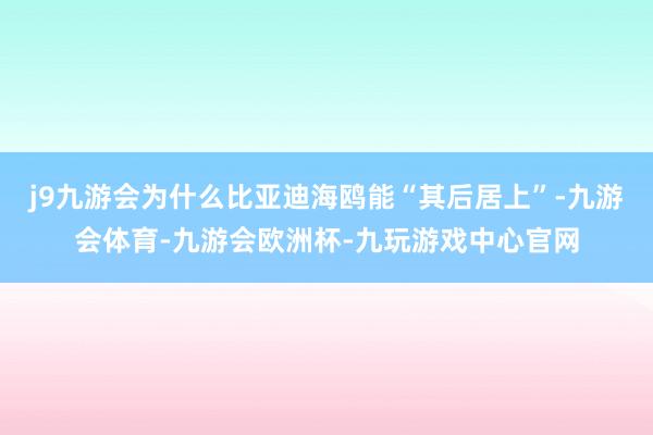 j9九游会为什么比亚迪海鸥能“其后居上”-九游会体育-九游会欧洲杯-九玩游戏中心官网