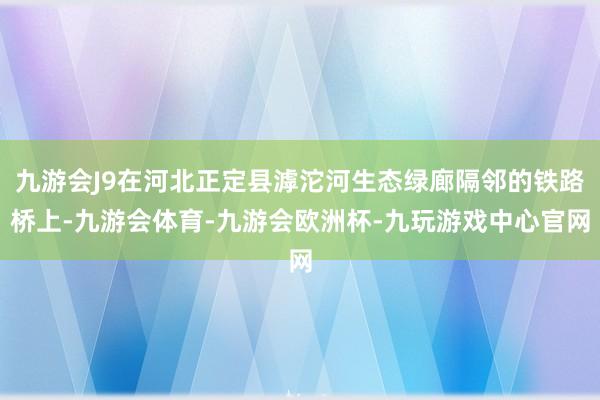 九游会J9在河北正定县滹沱河生态绿廊隔邻的铁路桥上-九游会体育-九游会欧洲杯-九玩游戏中心官网