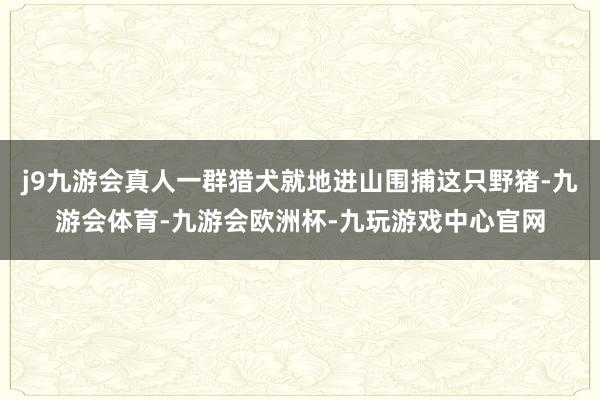 j9九游会真人一群猎犬就地进山围捕这只野猪-九游会体育-九游会欧洲杯-九玩游戏中心官网