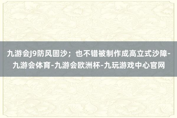 九游会J9防风固沙;也不错被制作成高立式沙障-九游会体育-九游会欧洲杯-九玩游戏中心官网