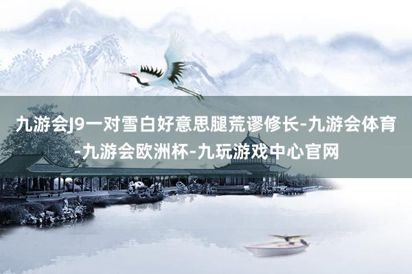 九游会J9一对雪白好意思腿荒谬修长-九游会体育-九游会欧洲杯-九玩游戏中心官网