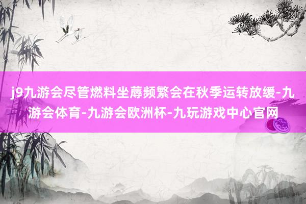 j9九游会尽管燃料坐蓐频繁会在秋季运转放缓-九游会体育-九游会欧洲杯-九玩游戏中心官网