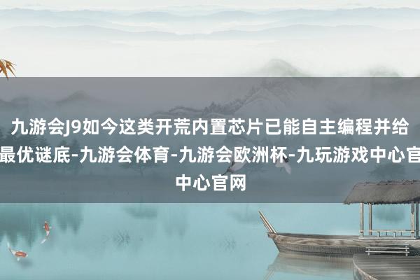 九游会J9如今这类开荒内置芯片已能自主编程并给出最优谜底-九游会体育-九游会欧洲杯-九玩游戏中心官网