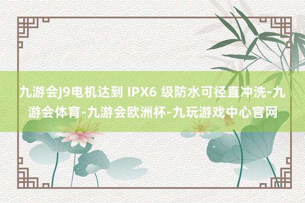 九游会J9电机达到 IPX6 级防水可径直冲洗-九游会体育-九游会欧洲杯-九玩游戏中心官网