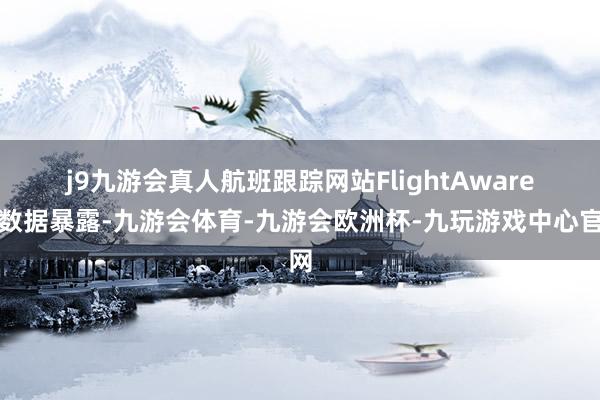 j9九游会真人　　航班跟踪网站FlightAware的数据暴露-九游会体育-九游会欧洲杯-九玩游戏中心官网